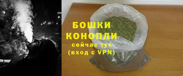 шишки Нягань
