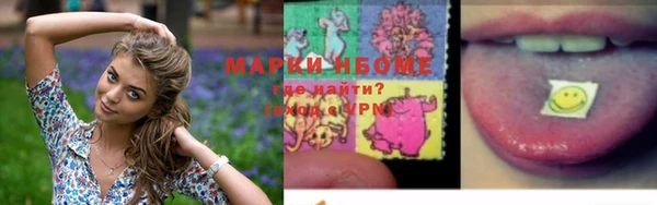 спайс Няндома