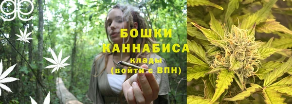 гидра Весьегонск