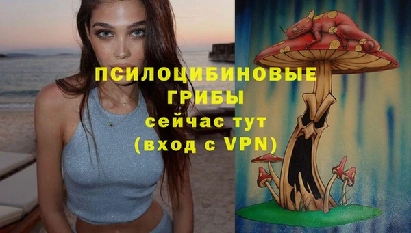2c-b Остров
