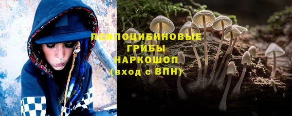 шишки Нягань