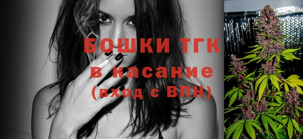 спайс Няндома