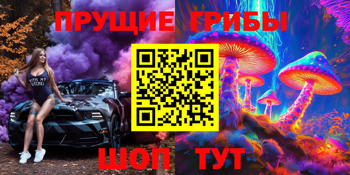 Псилоцибиновые грибы Psilocybe  Вход с VPN  Красный Сулин  Галлюциногенные грибы Psilocybe 